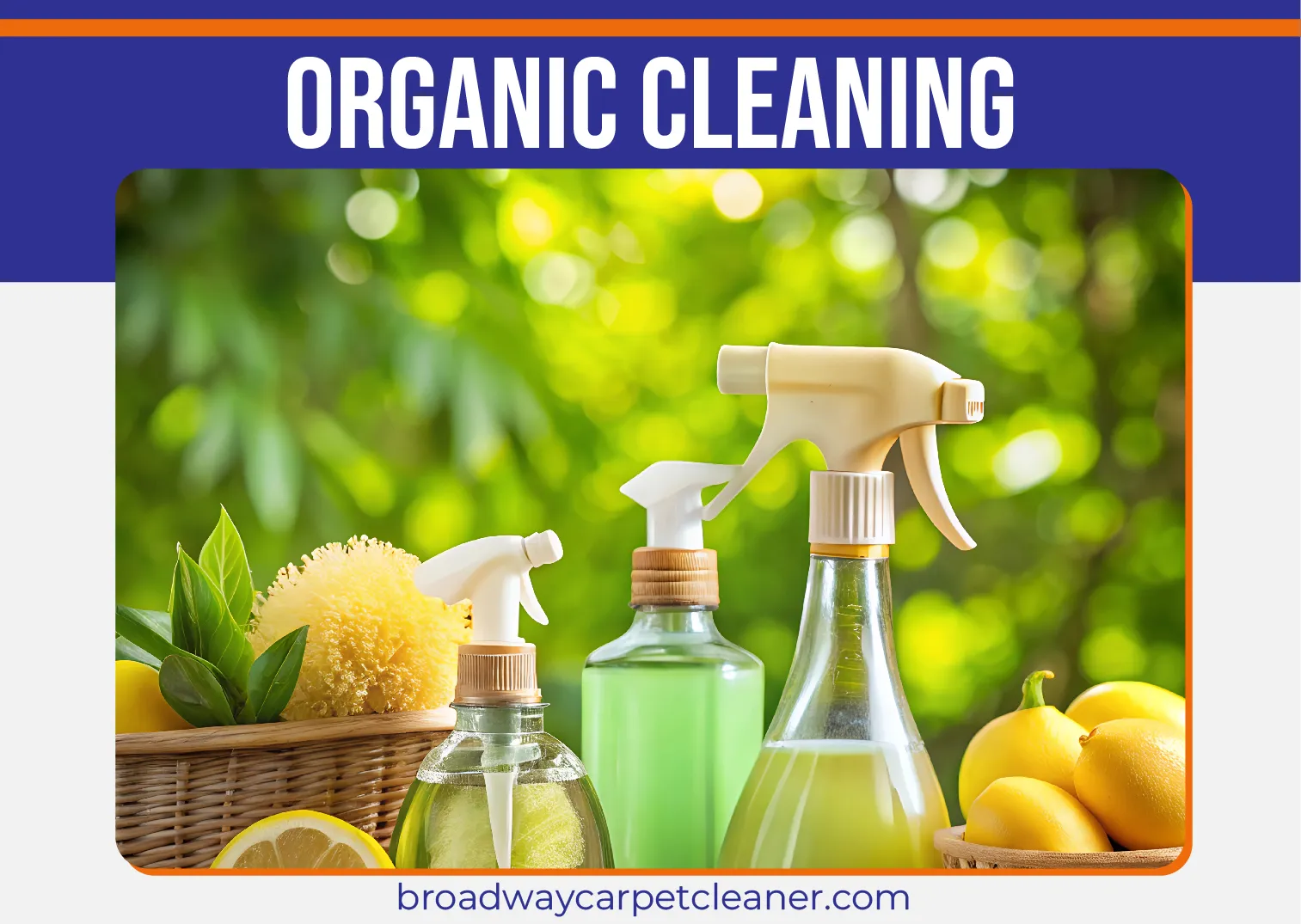 carpet cleaning in new york, carpet cleaning new york, carpet cleaners in new york, carpet cleaners in new york, commercial carpet cleaning, commercial carpet cleaning in new york, new york rug cleaners, rug cleaning services in new york, same day carpet cleaning, same day rug cleaning in new york